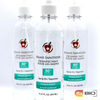 Spray Hand Sanitizer 500ml