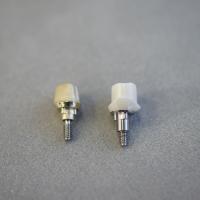 Custom Abutments
